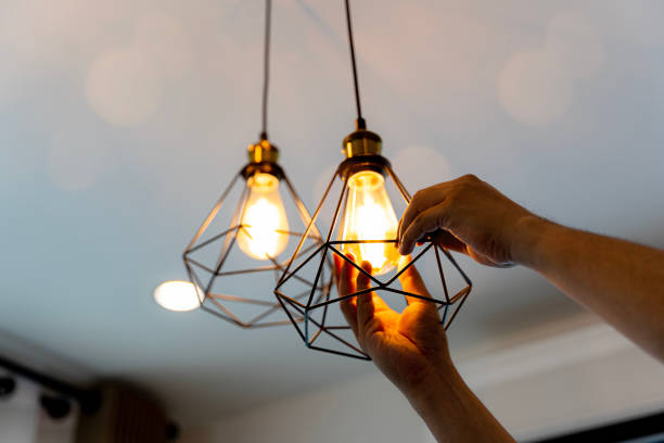 Best Electrician for Home Renovation  in Folly Beach, SC